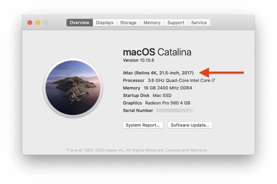 unable to update to macos big sur