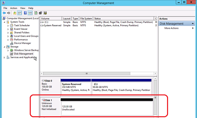 disk manager initialize disk