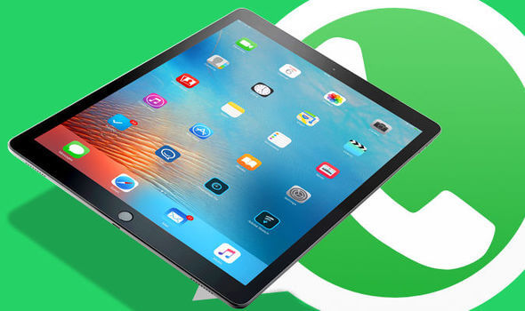 recover deleted WhatsApp messages on iPad